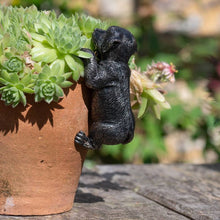 Load image into Gallery viewer, Jardinopia: Pot Buddies - Antique Bronze Labrador