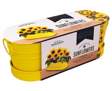 Load image into Gallery viewer, Mr Fothergills: Sunflower - Windowsill Tin