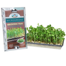 Load image into Gallery viewer, Mr Fothergills: Microgreens Growing Tray