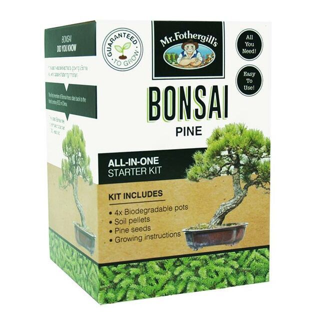 Mr Fothergills: Bonsai Starter Kit - Pine
