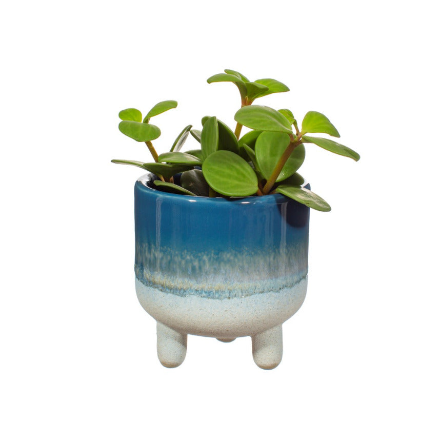 Sass & Belle: Mojave Glaze Blue Mini Planter (8cm)