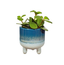 Load image into Gallery viewer, Sass &amp; Belle: Mojave Glaze Blue Mini Planter (8cm)