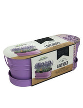 Load image into Gallery viewer, Mr Fothergills: Lavender - Windowsill Tin