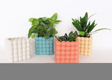 Load image into Gallery viewer, Urban Products: Addie Bubble Planter - White 13cm