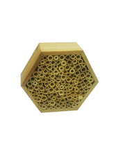 Load image into Gallery viewer, Mr Fothergill&#39;s: Bee &amp; Insect Sanctuary Kit - Hexagonal - Mr Fothergills