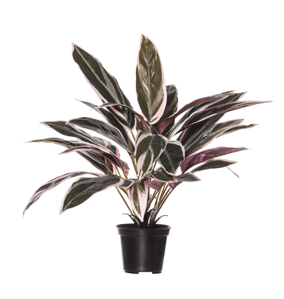 Rogue Cordyline Faux Pot Plant - Pink/Green (40x40x45cm)