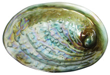 Load image into Gallery viewer, Moana Road: Paua Bowl - Glass (32cm)