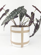Load image into Gallery viewer, Urban Products: Campbell Planter (16cm)