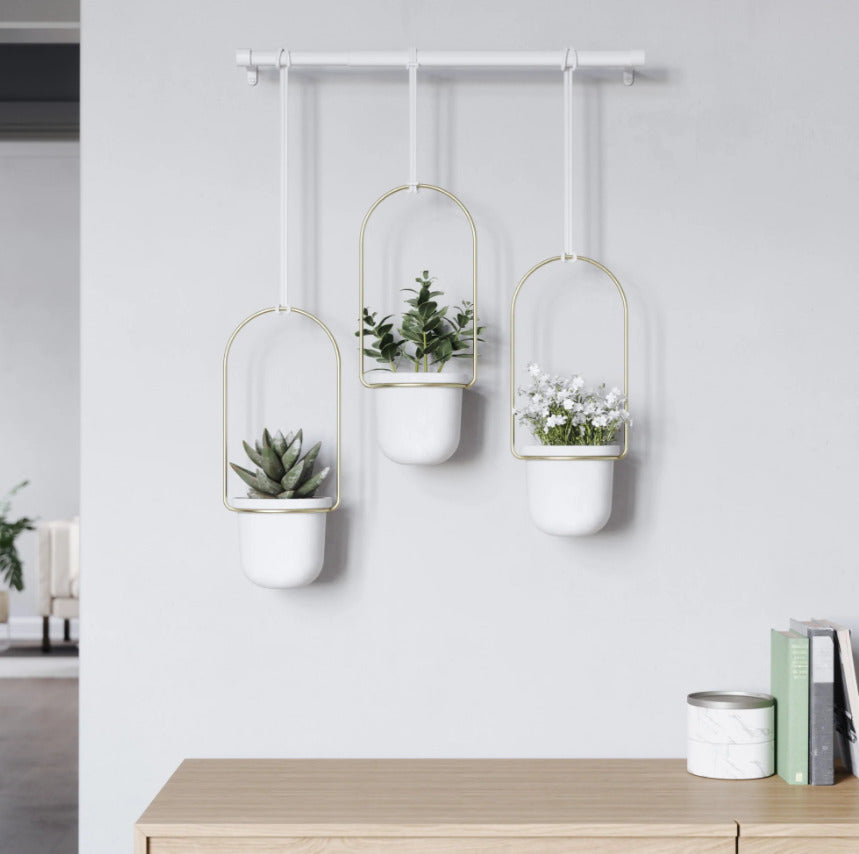 Umbra: Triflora Hanging Planter - White/Brass