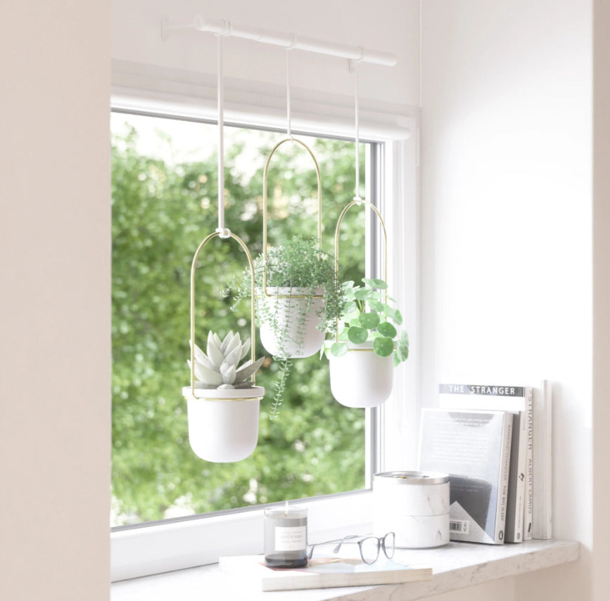 Umbra: Triflora Hanging Planter - White/Brass