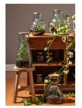 Load image into Gallery viewer, Ladelle: Eco Recycled Senna Terrarium (43cm)