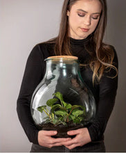 Load image into Gallery viewer, Ladelle: Eco Recycled Senna Terrarium (43cm)