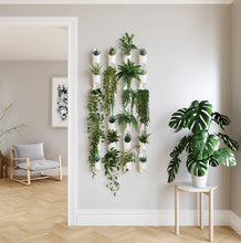 Load image into Gallery viewer, Umbra: Floralink Wall Vessel