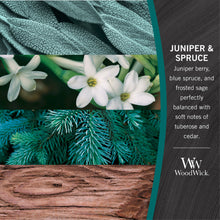 Load image into Gallery viewer, WoodWick: Hourglass Candles - Juniper &amp; Spruce (Medium)