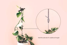 Load image into Gallery viewer, MetalBird Tūī Plant Stake - 70cm