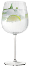 Load image into Gallery viewer, Luigi Bormioli: Optica Gin - Glass Set (750ml)