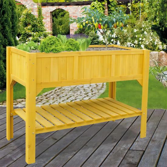 Raised Garden Bed Planter With Removable Top