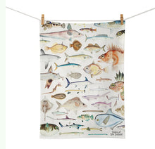 Load image into Gallery viewer, 100% NZ: Fishes of New Zealand Tea Towel - 100 Percent NZ
