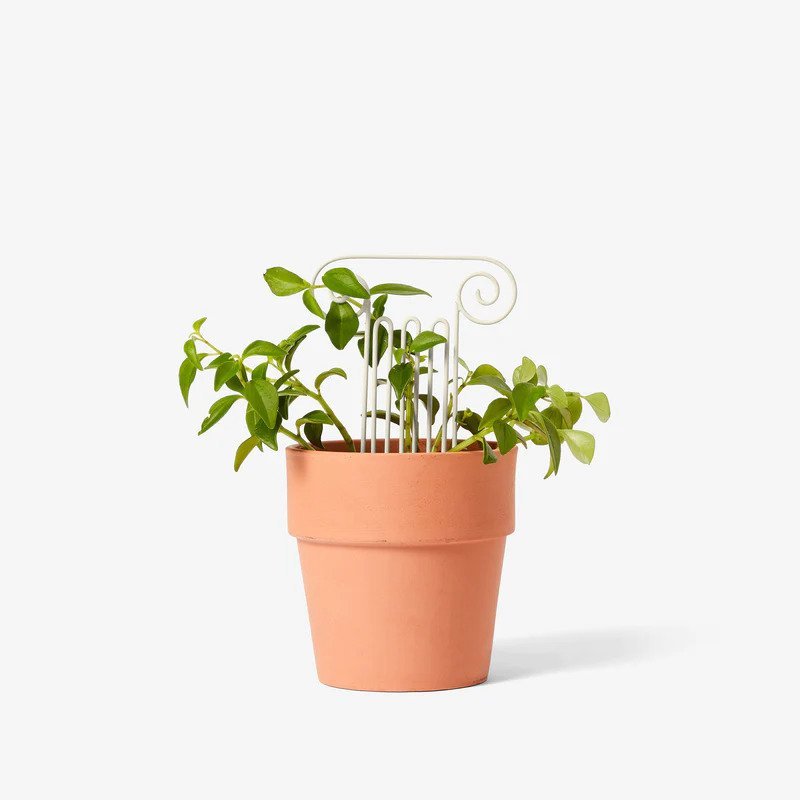 Areaware: Mini Greek Column Plant Trellis