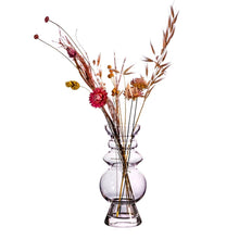 Load image into Gallery viewer, Sass &amp; Belle: Selina Glass Vase Clear - 17cm