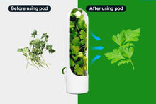 Load image into Gallery viewer, Herb Fridge Storage Pods (4 Pack) - Kogan