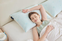 Load image into Gallery viewer, Fraser Country Set of 2 Shredded Memory Foam Pillow