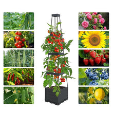Load image into Gallery viewer, GREENYHAVEN Raised Garden Bed Planter Box with Trellis (2 Pack)