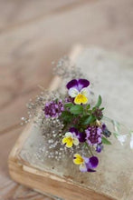 Load image into Gallery viewer, NZ Seed Bombs - Bouquet Blend