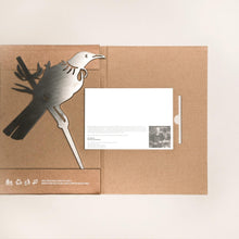 Load image into Gallery viewer, MetalBird Tui Garden Art