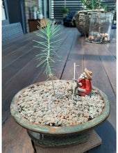 Load image into Gallery viewer, Mr Fothergills: Bonsai Starter Kit - Pine