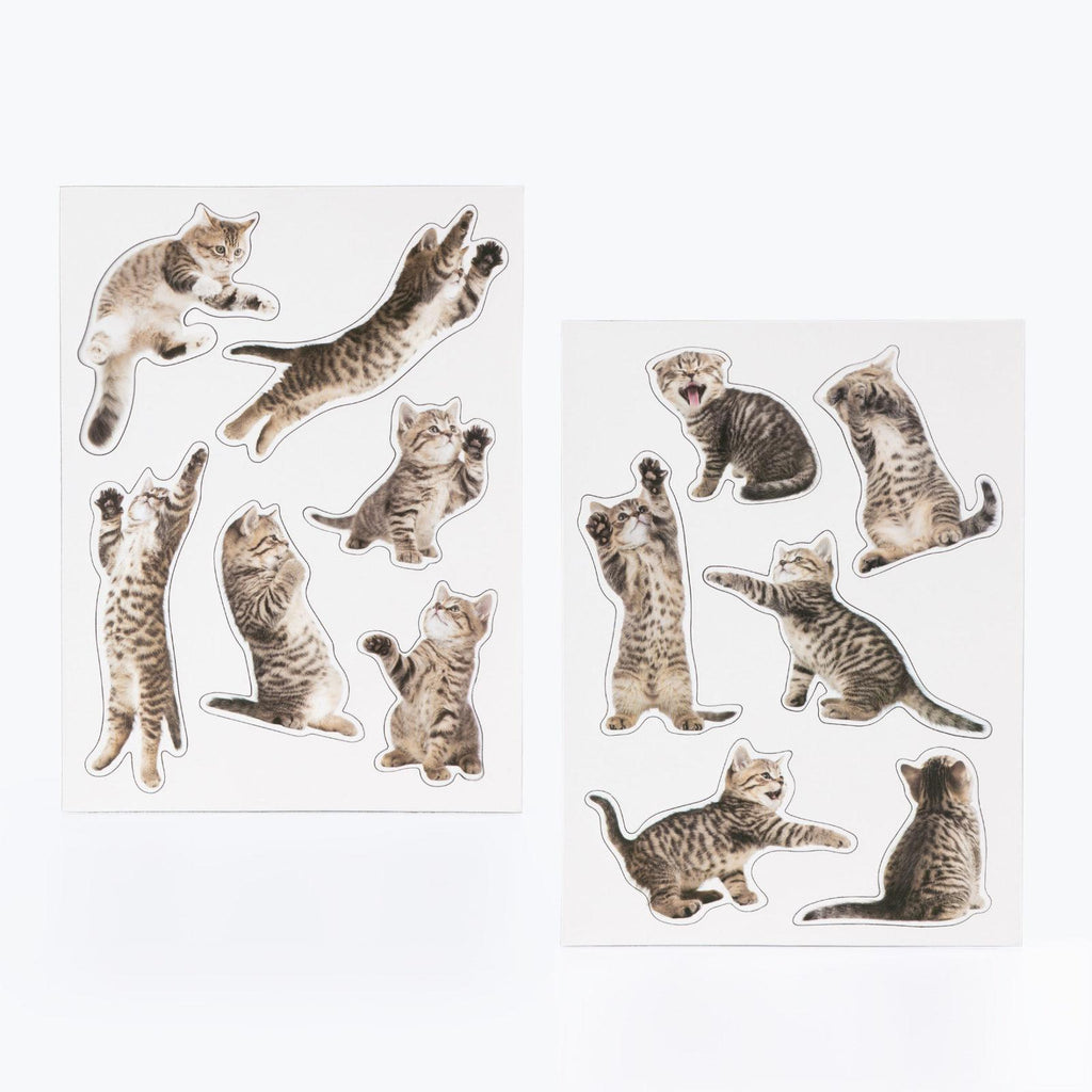 Mustard: Action Cat - Fridge Magnets