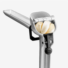 Load image into Gallery viewer, Dreamfarm: Garject Garlic Press