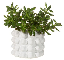 Load image into Gallery viewer, Sass &amp; Belle: Bobble Planter - White