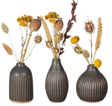 Load image into Gallery viewer, Sass &amp; Belle: Grooved Bud Vases - Black (Set of 3)
