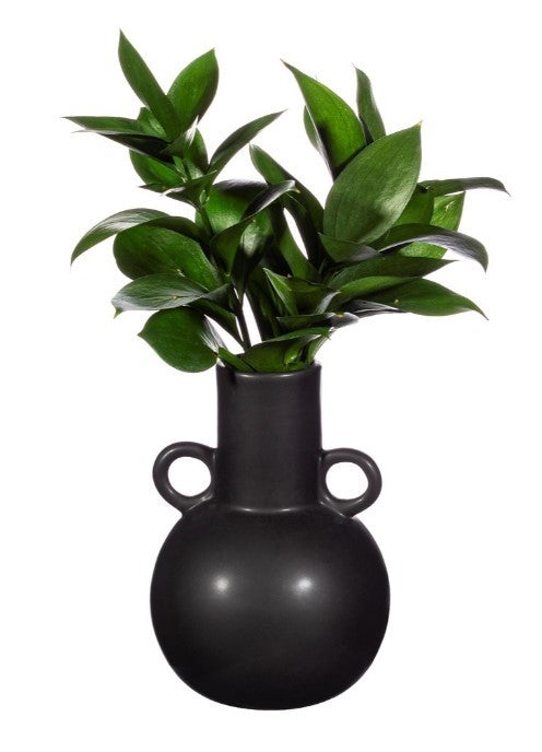 Sass & Belle: Amphora Jug Vase - Black (Small)