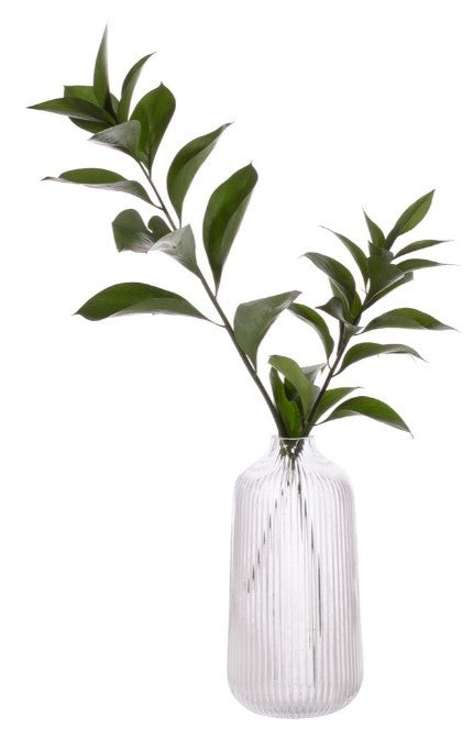 Sass & Belle: Tall Fluted Glass Vase - Clear