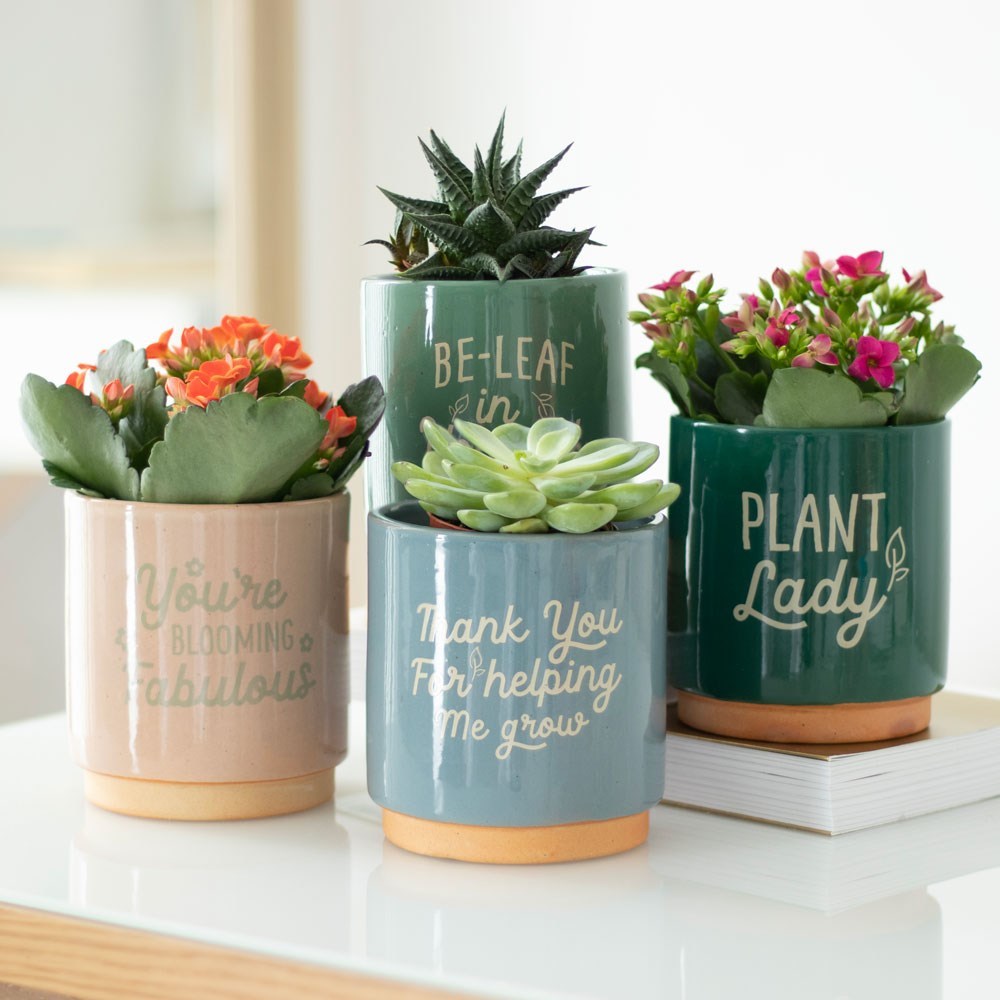 'Plant Lady' Plant Pot