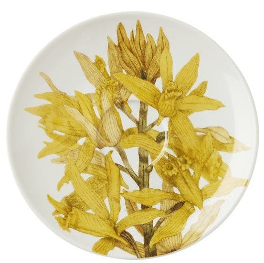 Maxwell & Williams: Royal Botanic Gardens Australian Orchids Cup & Saucer - Yellow (240ml)