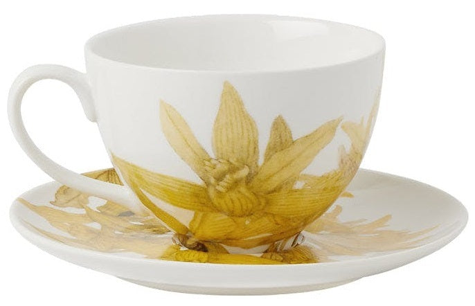 Maxwell & Williams: Royal Botanic Gardens Australian Orchids Cup & Saucer - Yellow (240ml)