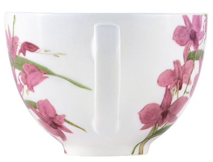 Maxwell & Williams: Royal Botanic Gardens Australian Orchids Cup & Saucer - Pink (240ml)