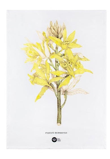 Maxwell & Williams: Royal Botanic Gardens Australian Orchids Tea Towel - Yellow (50x70cm)