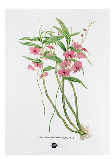 Maxwell & Williams: Royal Botanic Gardens Australian Orchids Tea Towel - Pink (50x70cm)