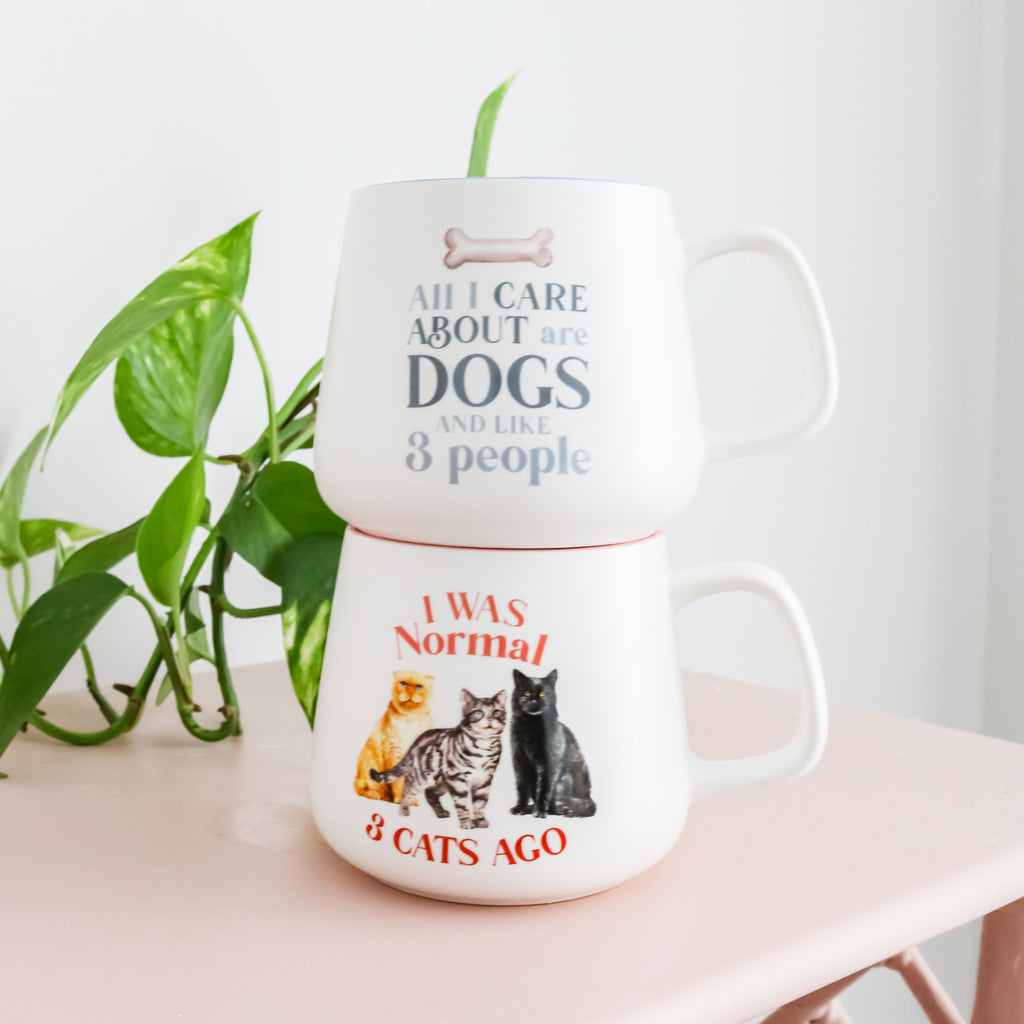 Splosh: I Love My Pet Mug - All I Care About