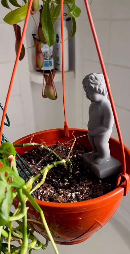 Plant Life Pee My Plants Waterer