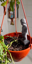 Load image into Gallery viewer, Plant Life Pee My Plants Waterer