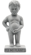 Load image into Gallery viewer, Plant Life Pee My Plants Waterer