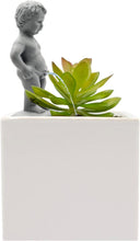 Load image into Gallery viewer, Plant Life Pee My Plants Waterer