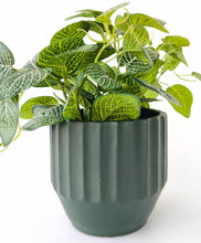 Load image into Gallery viewer, Urban Products: Aylin Planter - Dark Green (Small - 12cm)