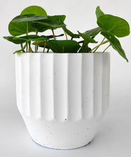 Load image into Gallery viewer, Urban Products: Aylin Planter - White (Medium - 14cm)