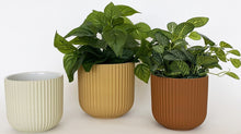 Load image into Gallery viewer, Urban Products: Brooklyn Planter - Terracotta (Medium - 14cm)